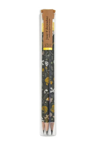 Mushrooms Pencil Terrarium, Set of 5 Pencils