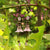 Pink Lucite Flower Earrings