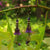 Purple Velvet Lucite Flower Earrings