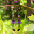 Purple Velvet Lucite Flower Earrings