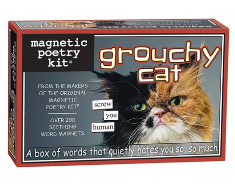 Grouchy Cat Magnetic Poetry Kit