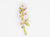 Peach Blossom Brooch