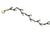 Pussy Willow Bracelet