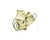 Ginkgo Cuff Bracelet