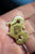 Limited Edition Goblin King/David Bowie Pin by Steve Parke