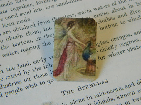 Peacock and Fairy Chat Pin