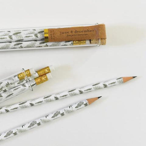 Fern Pencil Terrarium, Set of 5 Pencils
