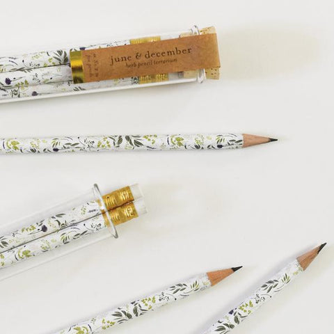 Herb Pencil Terrarium, Set of 5 Pencils