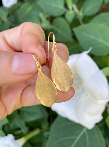 Feather Earrings