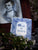 Book of Poetry Soap