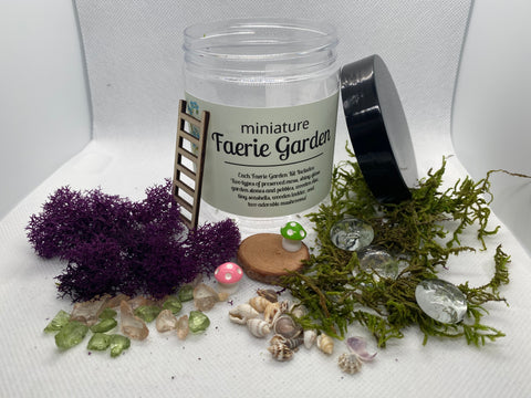 Miniature Faerie Garden Kit