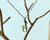 Little Brass Deer Necklace