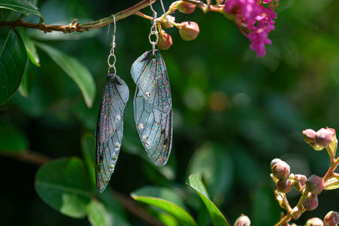 Fairy Wing Earrings - Iridescent