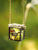 Fairy Terrarium Neckace