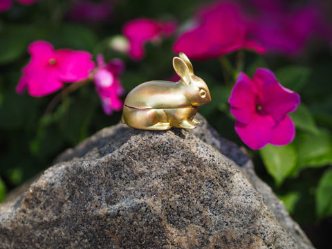 Bronze Hare Box