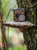 Steampunk Garden Terrarium
