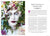 The Faerie Handbook