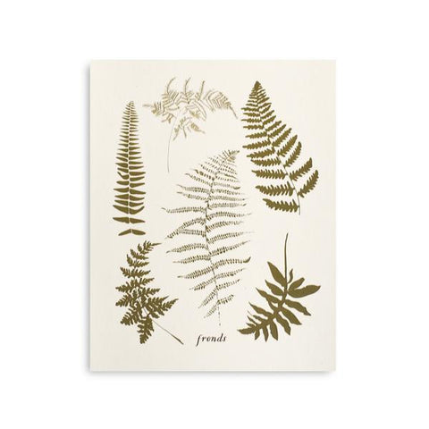 Fronds Art Print
