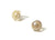 Opalescent Seashell Earrings