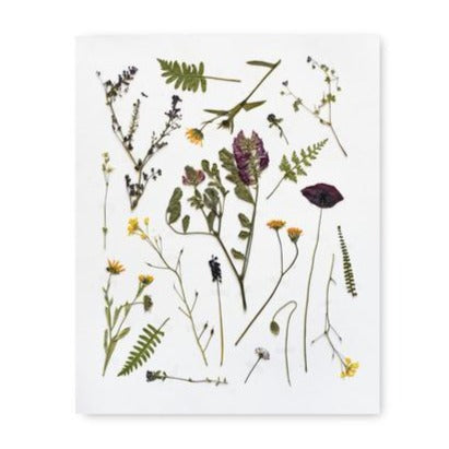 Pressed Tuscan Flowers Art Print