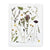 Pressed Tuscan Flowers Art Print