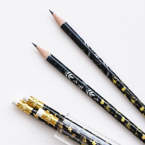 Solstice Pencil Terrarium, Set of 5 Pencils