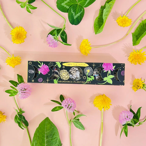 moon phase to plant seeds Moon Phase Abundance Seed Planting Set