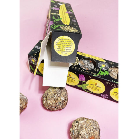 moon phase for planting seeds Moon Phase Abundance Seed Planting Set