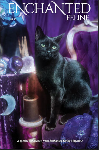 Enchanted Feline Special Issue, PDF