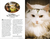 Enchanted Feline Special Issue