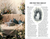 Enchanted Feline Special Issue