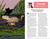Enchanted Feline Special Issue