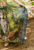 Daydreamer Sleeping Beauty Scarf