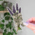 Lavender Practical Magic Sticker