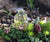 Succulent Garden Crystal Standing Point
