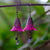Queen of Hearts Fuchsia Flower Earrings