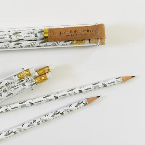 Terrarium Pencil Set - Ferns