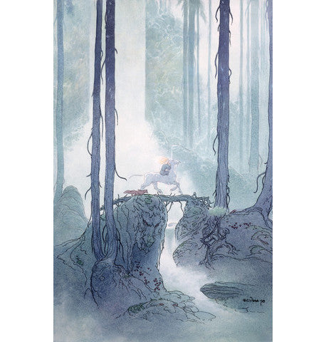 In the Deep Woods - Limited Edition Signed Art Print