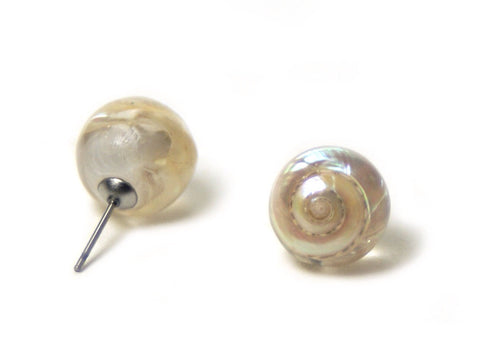 Opalescent Seashell Earrings