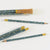 Wildflower Pencil Terrarium