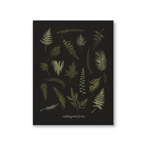 Endangered Ferns Art Print