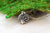Teeny Tiny Hedgehog Necklace