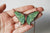 Spanish Luna Moth Necklace